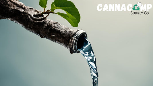 Hold My Branch : Filtering Water with Wood - Canna Camp Supply Co